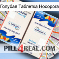 Голубая Таблетка Носорога kamagra1